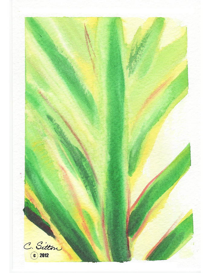 Tropical Leaf Painting by C Sitton