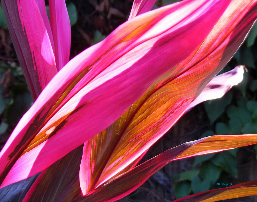Tropical Leaves 1 Photograph by Duane McCullough