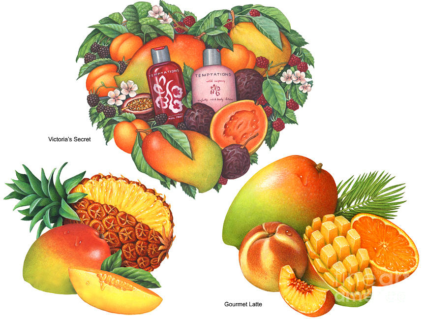 Mango Painting - Tropical Mango by Douglas Schneider Mango Painting - Tropical Mango by Douglas Schneider