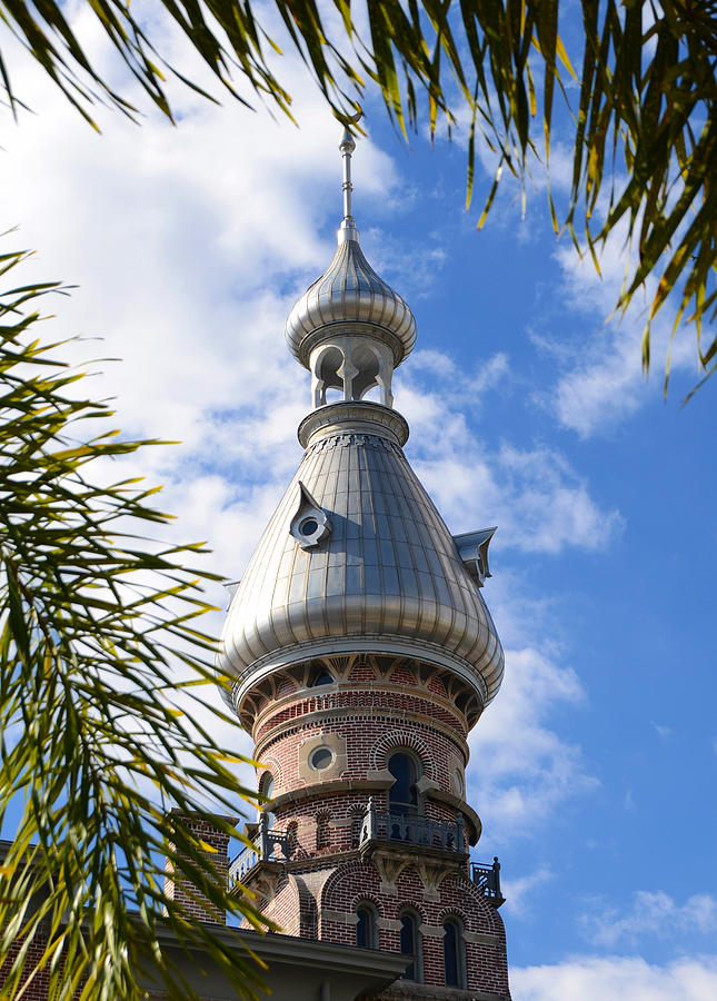 Tropical minaret Photograph by David Lee Thompson