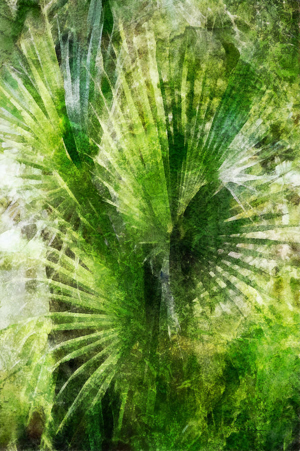 Tropical Palm Grunge Digital Art by Frances Miller
