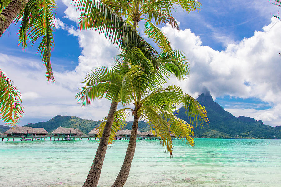 Tropical Paradise, Bora Bora, French Photograph by Douglas Peebles - Pixels