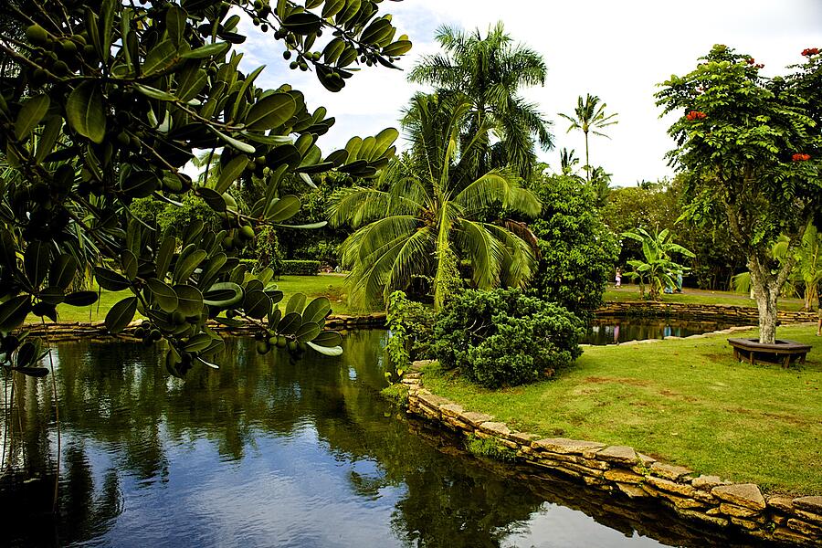 Tropical Paradise Hawaii Photograph by Barbara Zahno - Fine Art America