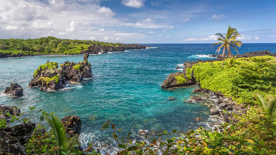 Nature Photograph - Tropical Paradise on Maui by Pierre Leclerc Photography
