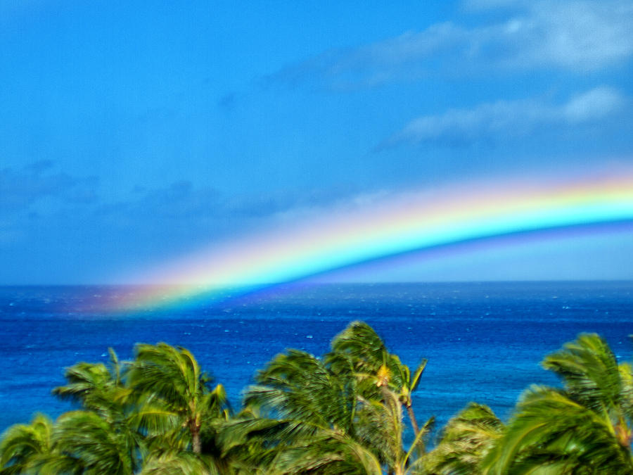 Tropical Rainbow Photograph By Russell Mann Fine Art America