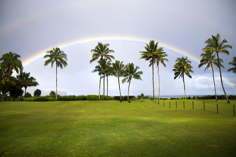 Tropical Rainbow Photograph by Saya Studios