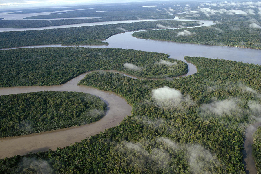 Tropical Rainforest And Rivers Kikori Photograph by Gerry Ellis