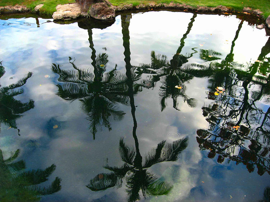 Tropical Reflections Photograph by Jan Garcia
