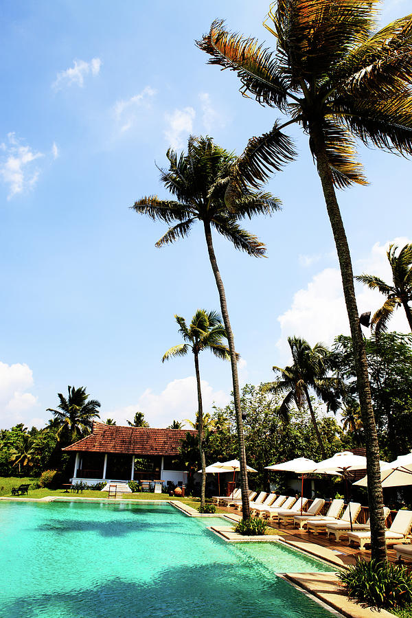 Tropical Resort Pool Photograph by Plastic buddha