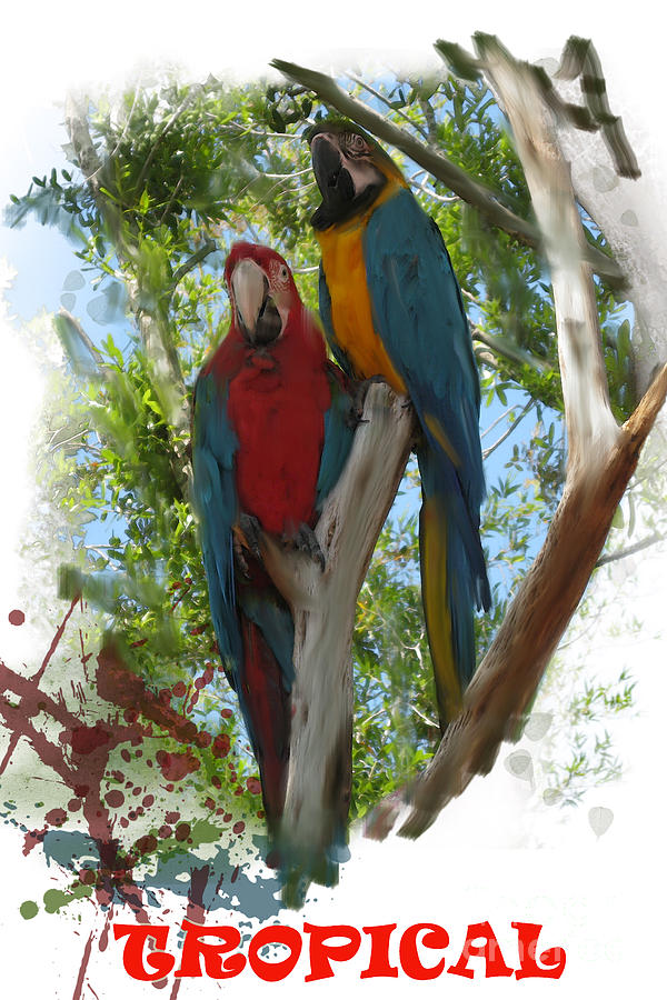 Parrot Digital Art - Tropical by Roger Lighterness