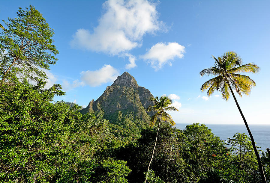 Tropical Saint Lucia - West Indies Photograph by Brendan Reals