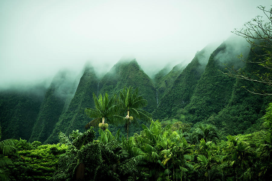 hawaii scenery