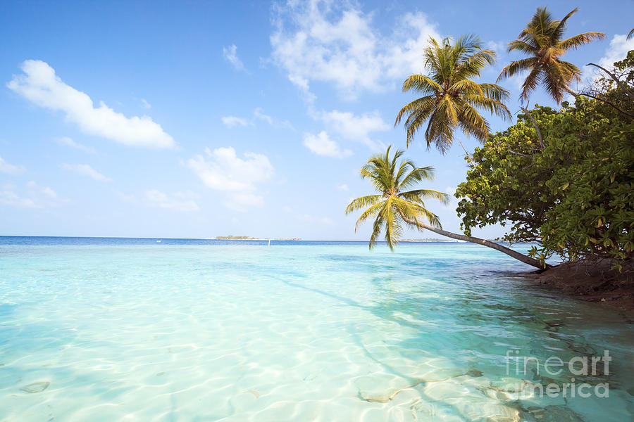 Summer Photograph - Tropical sea in the Maldives - Indian Ocean by Matteo Colombo