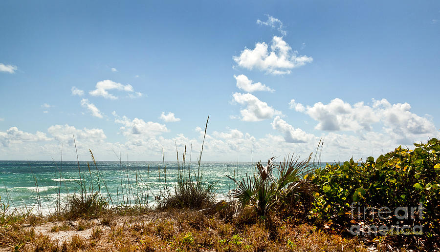 Nature Photograph - Tropical Shore by Michelle Constantine