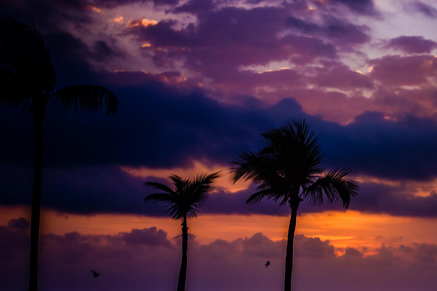 Tropical Sunrise Photograph