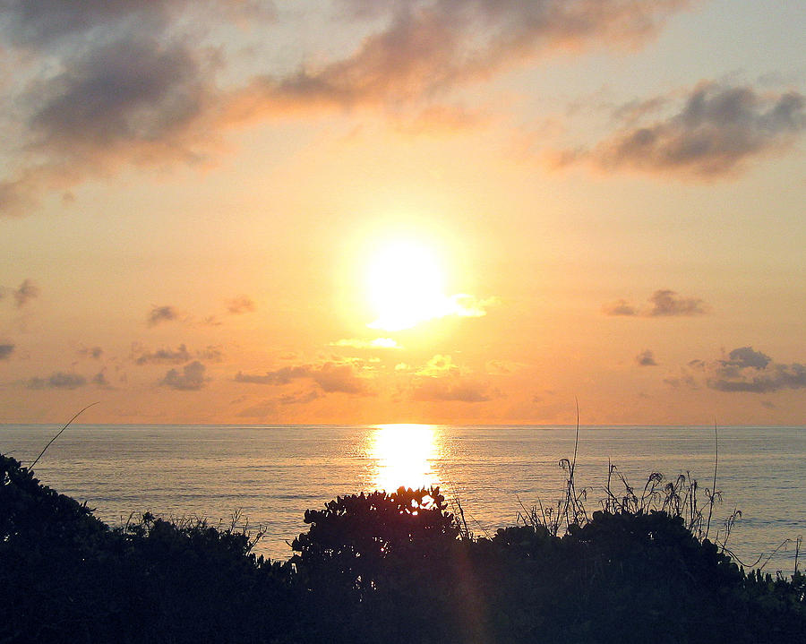 Tropical Sunrise Photograph