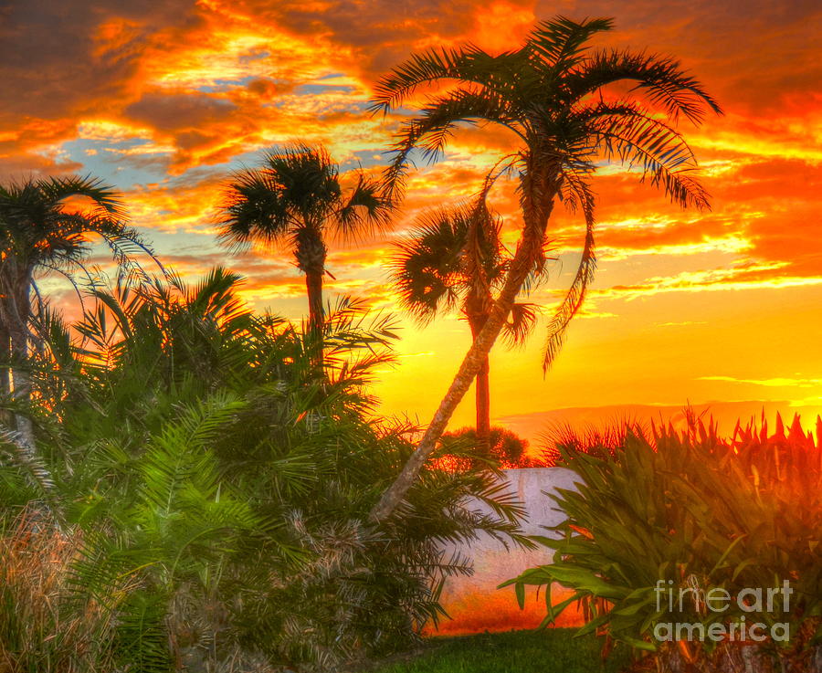 Tropical Sunset Photograph by Debbi Granruth