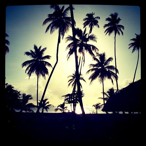 Sunset Photograph - Tropical Sunset by James McCartney