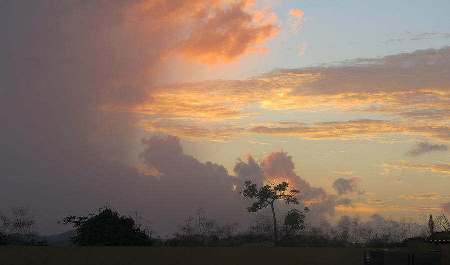 Tropical Sunset Land Photograph by Anita Burgermeister