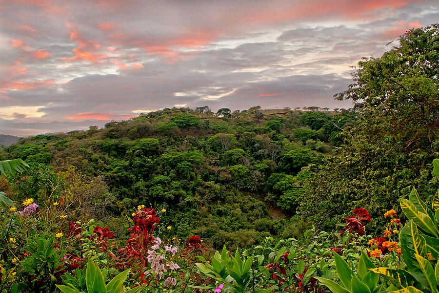 Tropical Sunset Landscape Photograph by Peggy Collins
