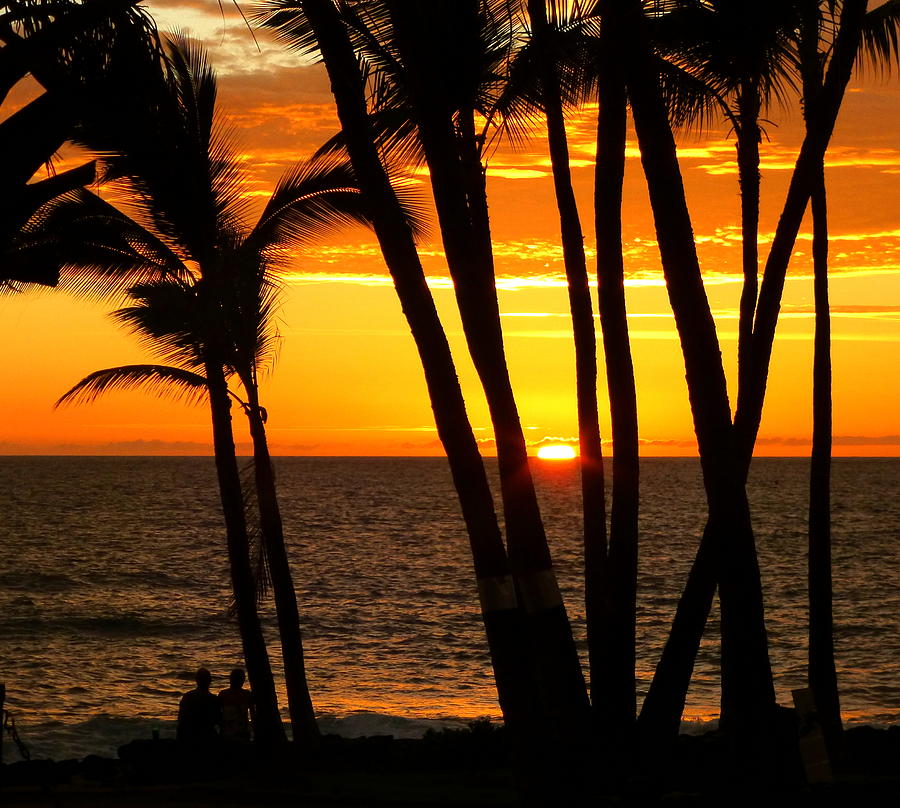 Tropical Sunset Photograph by Lori Seaman