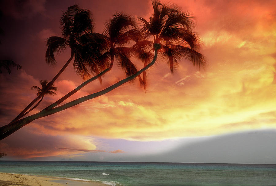 Tropical Sunset Photograph by Lyle Leduc