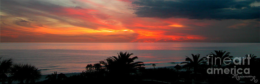 Tropical Sunset Photograph by Mariarosa Rockefeller