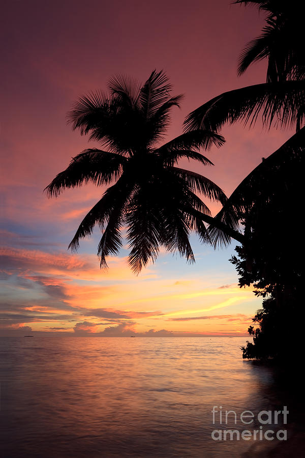 Tropical sunset Photograph by Matteo Colombo