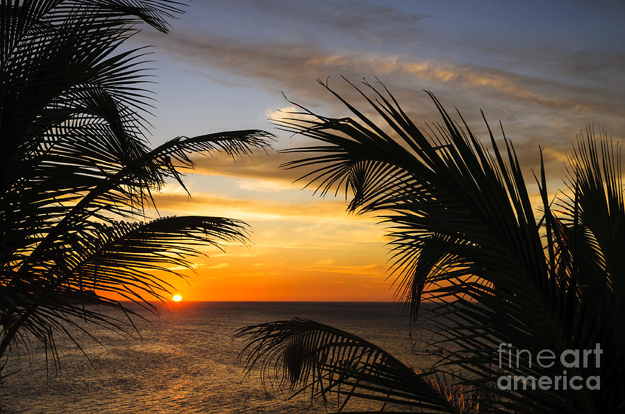 Tropical Sunset Photograph by Oscar Gutierrez