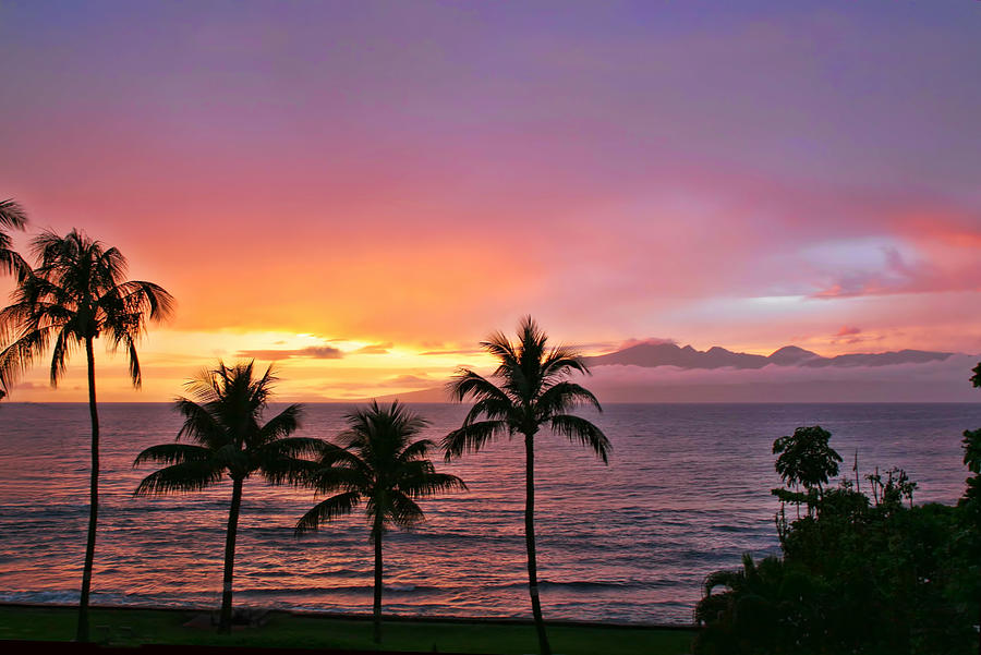 Tropical Sunset Photograph by Peggy Collins