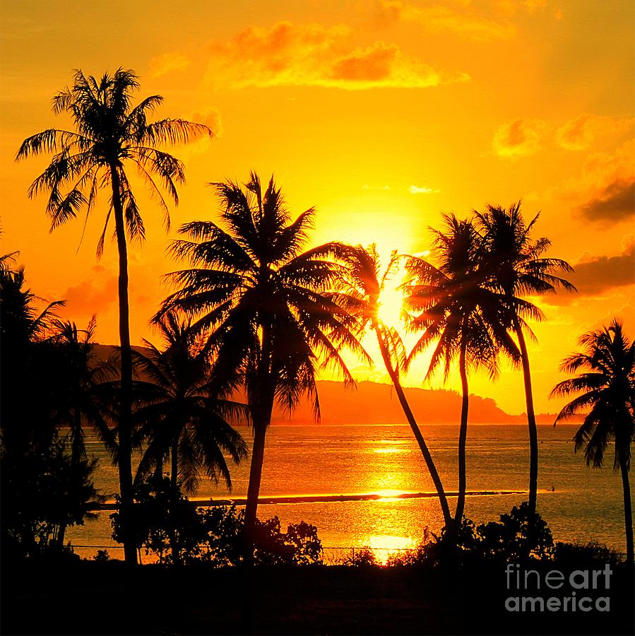 Tropical Sunset Photograph by Scott Cameron