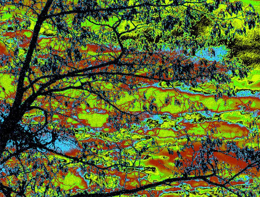 Tropical Swamp Digital Art by Will Borden