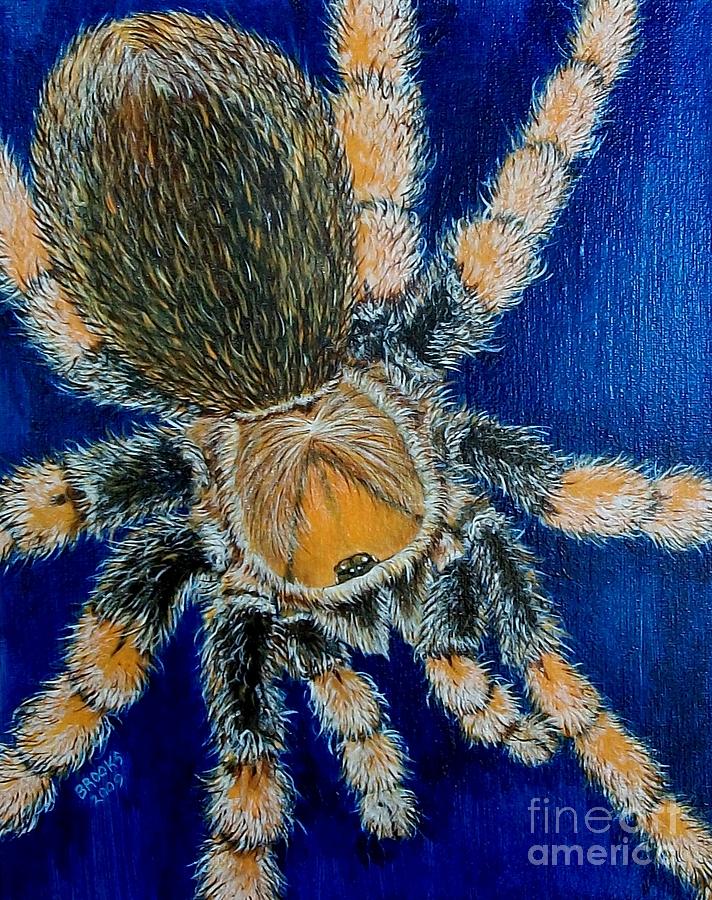 Spider Painting - Tropical Tarantula  by Richard Brooks