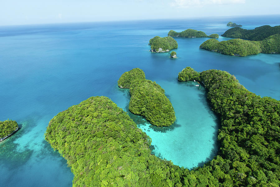 Tropical Water And Lush Rock Islands by Ippei Naoi