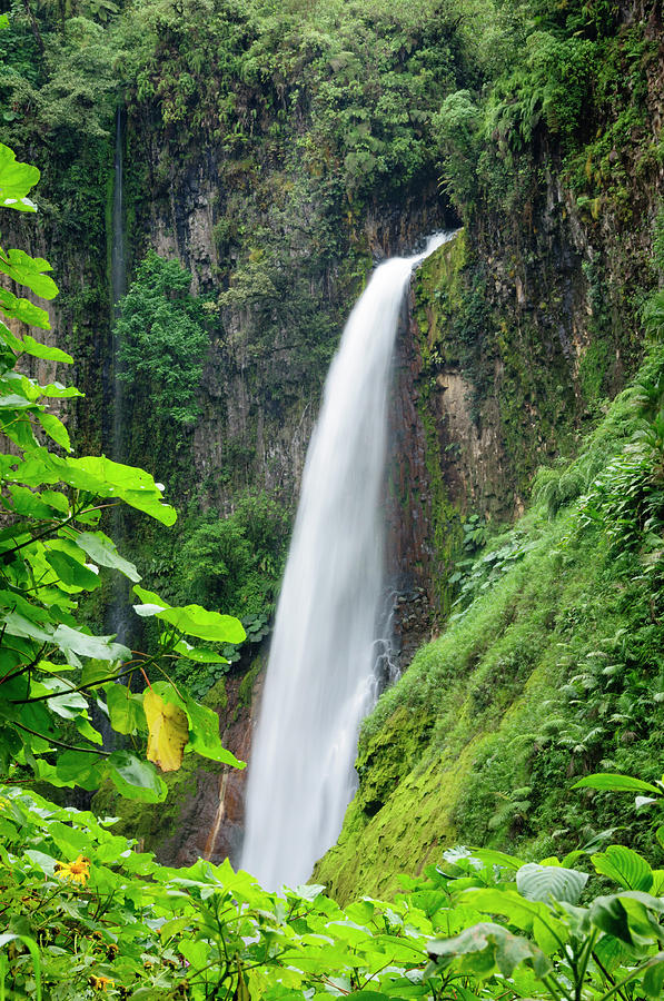 Tropical Waterfall Framed By Lush Photograph by Ogphoto Tropical Waterfall Framed By Lush Photograph by Ogphoto