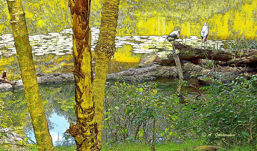 Tropical Wetland Scene Digital Painting Digital Art by A Macarthur Gurmankin