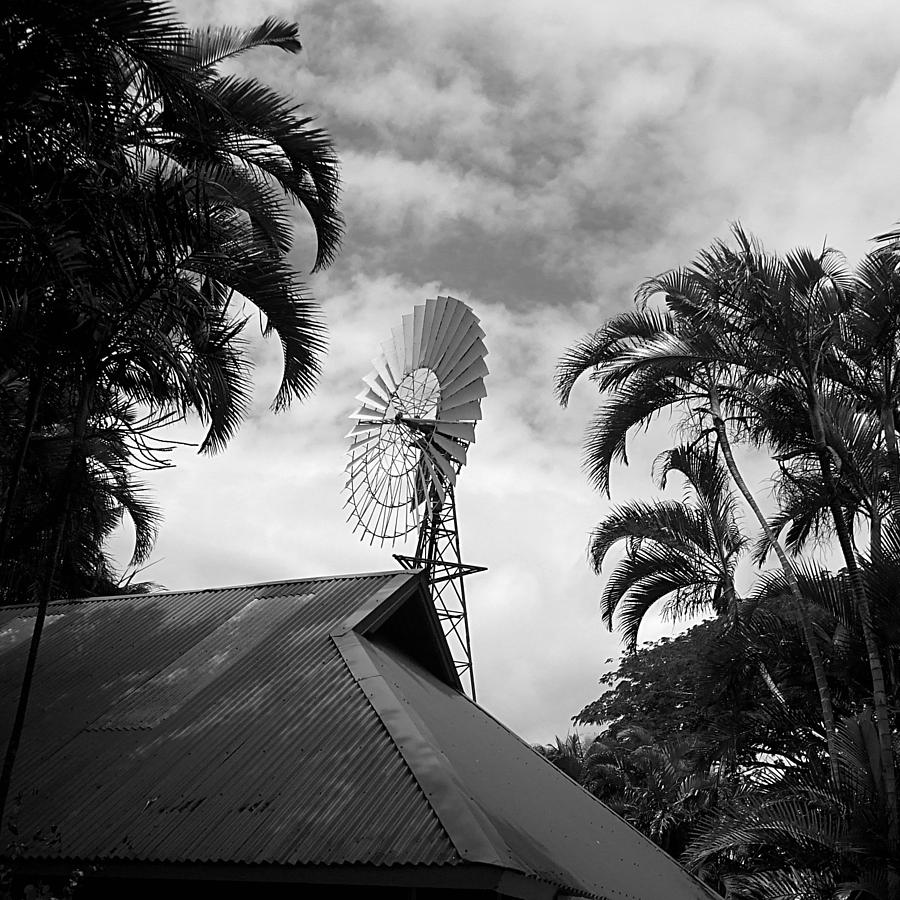 Tropical Windmill Photograph by Richard Reeve