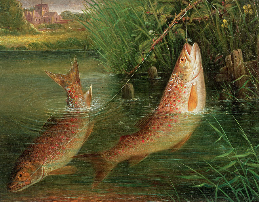 Sports Photograph - Trout At Winchester by Valentine Thomas Garland