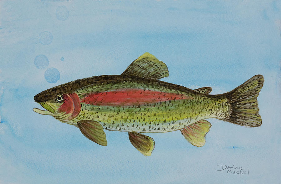 Trout Painting by Darice Machel McGuire