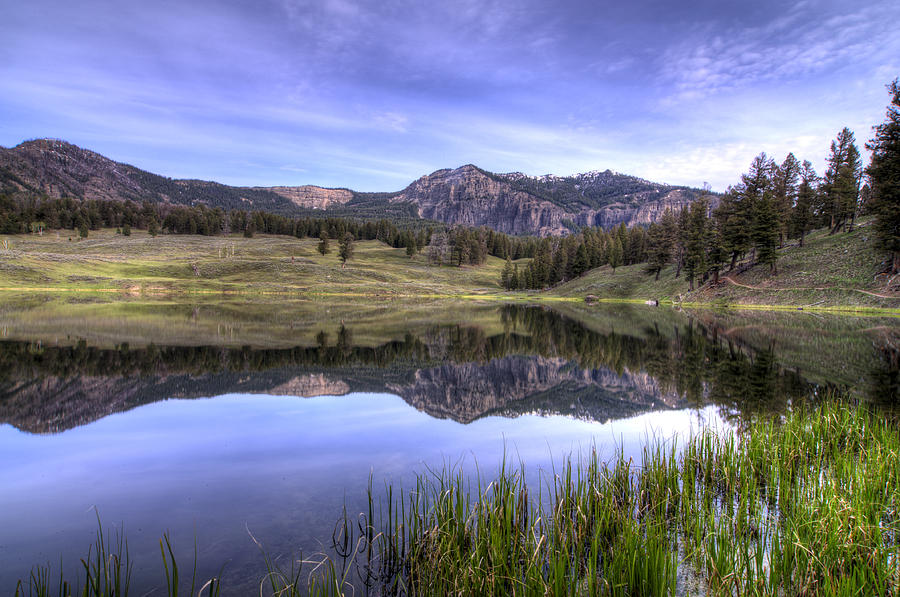 Trout Lake Yellowstone by Alan Griffin