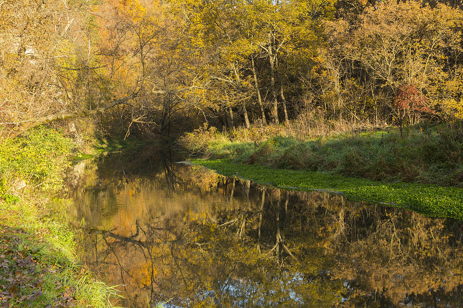 Fall Photograph - Trout Run Creek Fall 1 by John Brueske