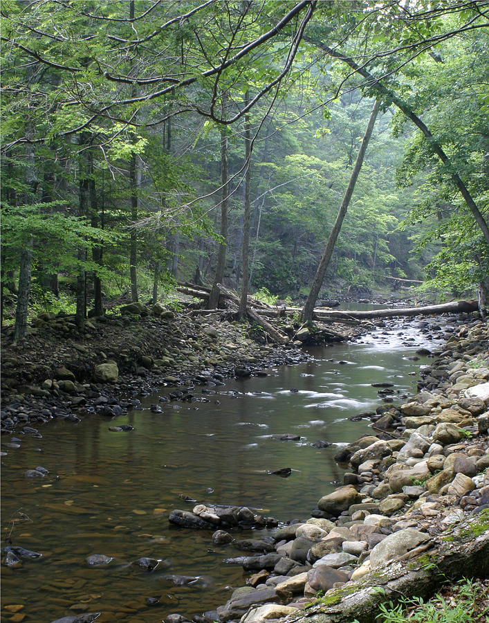 Trout Photograph - Trout Stream by Darrin Doss