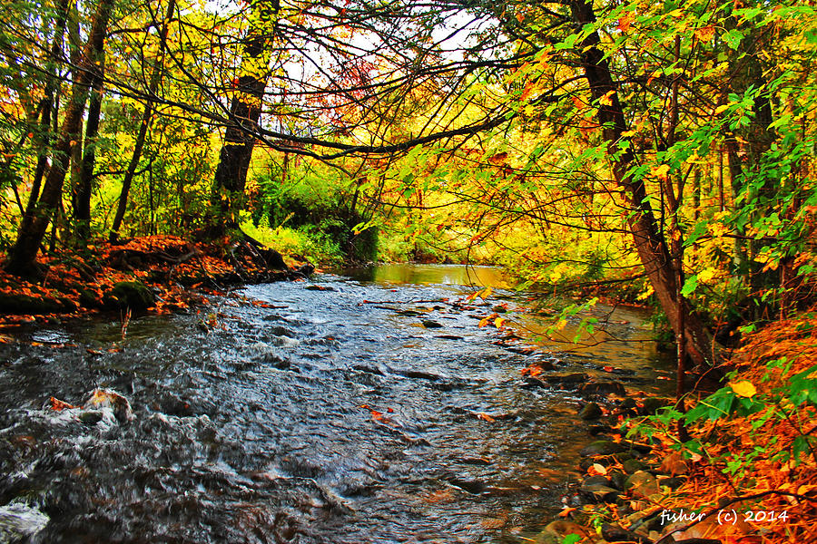 Landscape Photograph - Trout Stream by Richard Fisher