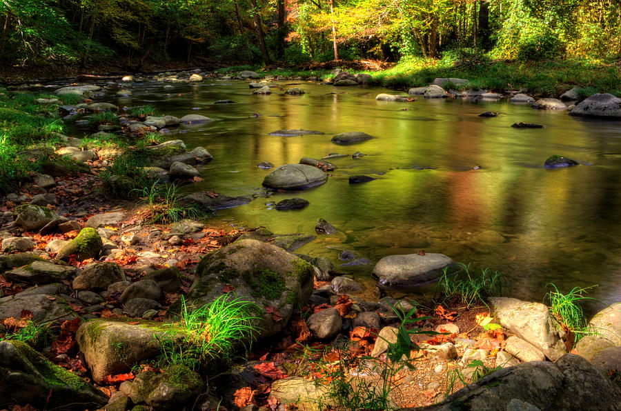 Mountain Photograph - Trout Waters In Fall by Greg and Chrystal Mimbs