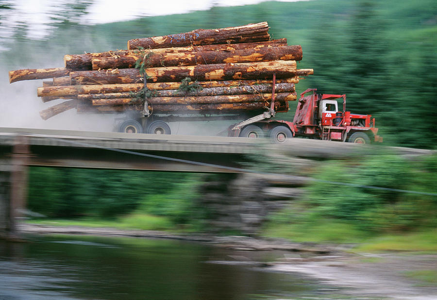 Truck Carries Felled Logs Photograph by David Nunuk/science Photo Library