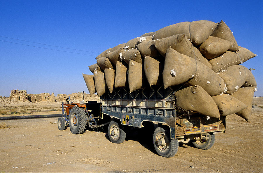 Truck Carrying Sacks Of Cotton, Syria Photograph by Adam Sylvester
