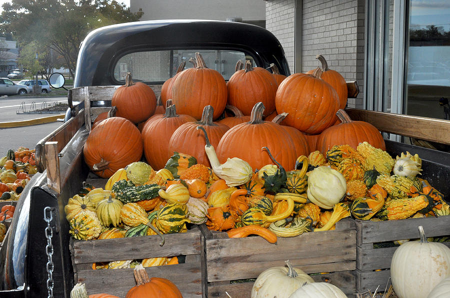 Truck full of pumpkins in Iowa City Photograph by Diane Lent