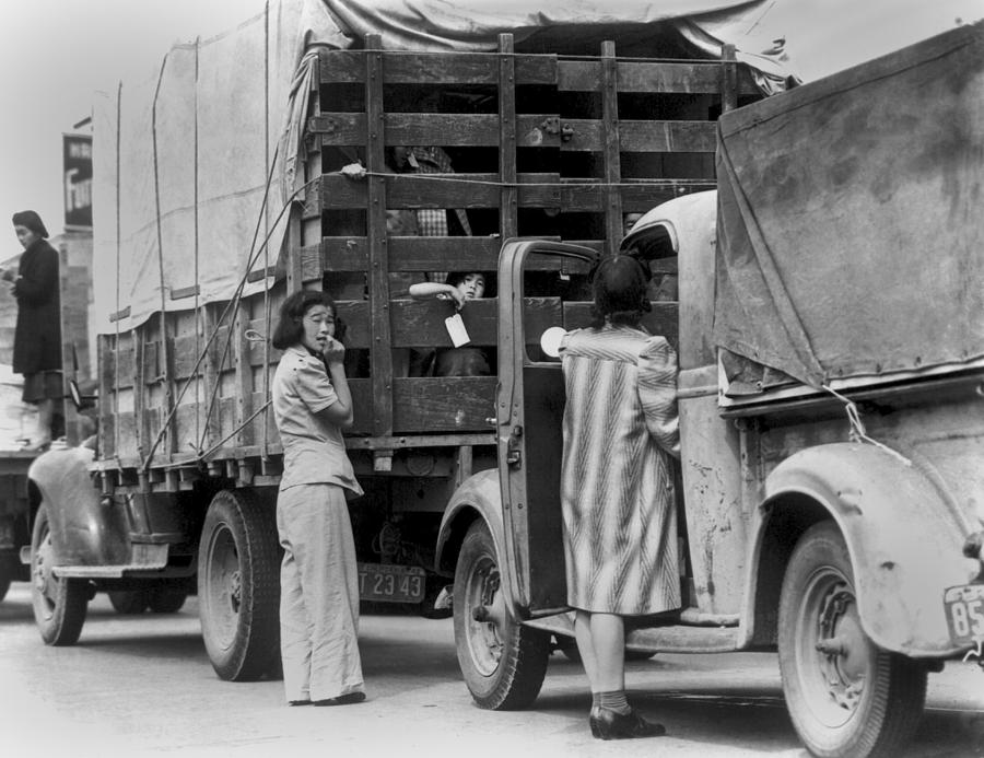 Trucks Removing Japanese American Photograph by Everett