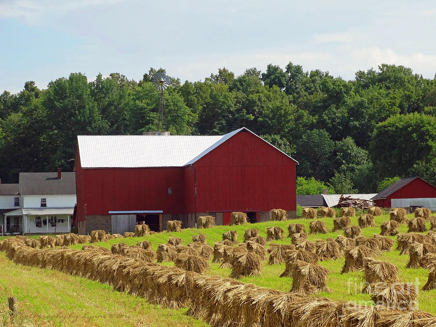 True Amish Farm Photograph