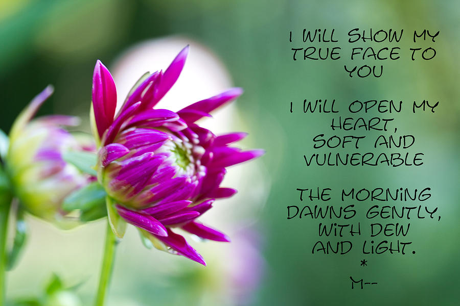 True Face - Poem - Flower Photograph by Marie Jamieson